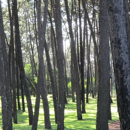 Casa Pita Сasa de vacaciones