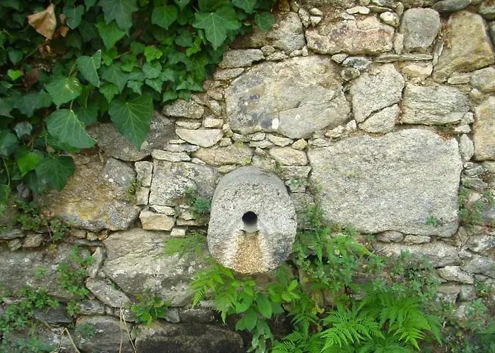 Casa Pita Tatil Evi *