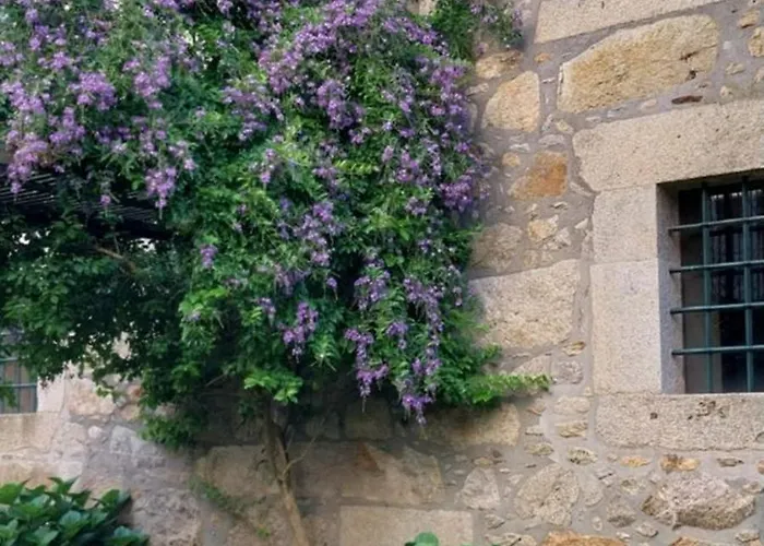 Tatil Evi Casa Pita Caminha