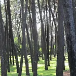 Casa Pita Hébergement de vacances