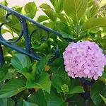 Hébergement de vacances Casa Pita