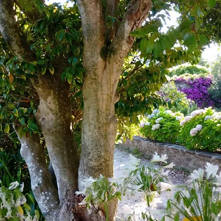Casa Pita Hébergement de vacances *