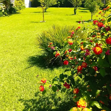Casa Pita * Caminha